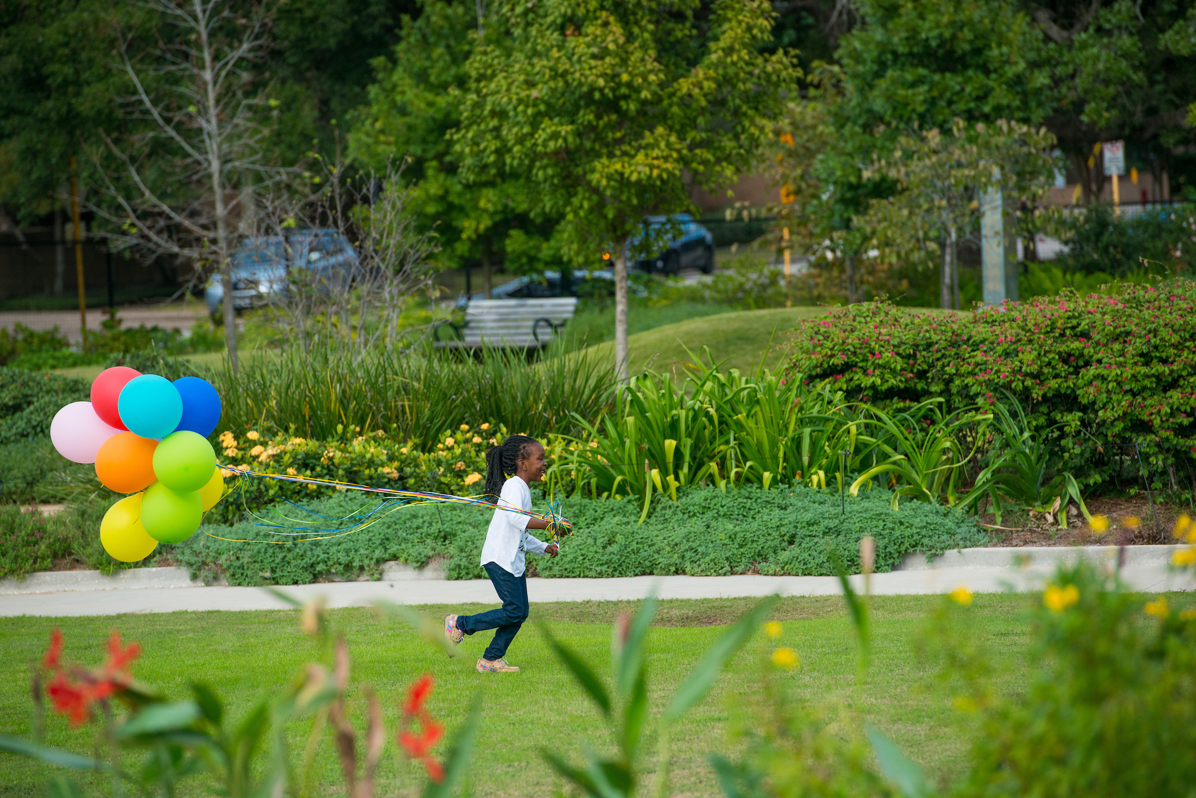 Japanese Botanical Gardens Houston Southeast